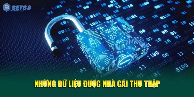 Hãy nắm rõ quy định của Bet88 khi đăng ký tài khoản nhé